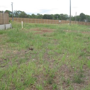 Before the Community Garden January 22 2013