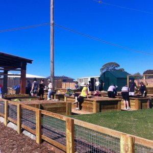 Planting day 10/08/2013