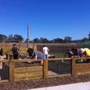 Planting day 10/08/2013