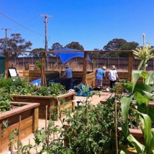 The compost workers needed some shade today 05/10/2013