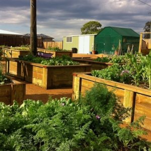 Community Garden after a storm 17/09/2013