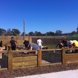Community garden planting day 17/08/2013