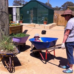 Garden transport 05/10/2013
