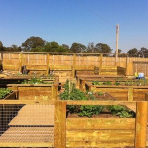 Growth progress 31/08/2013