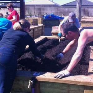 Planting day 10/08/2013