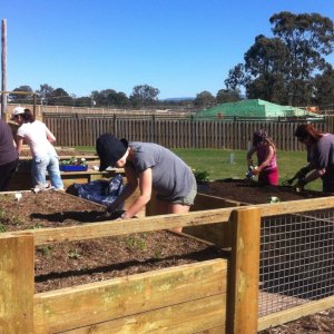 Planting working bee community garden 10/08/2013
