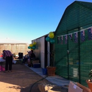 Ready for a citizenship party 25/08/2013