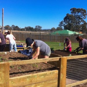 Working bee 10/08/2013