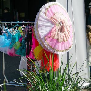 DSC0355