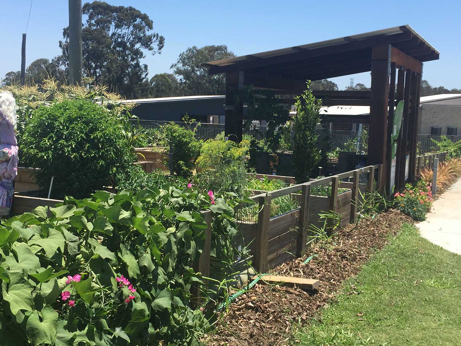 Fitzgibbon Community Garden