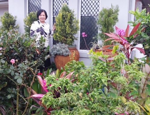 Newsletter September 2025