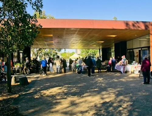 Post Template for the FHT activity